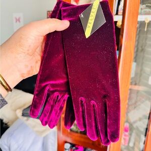 Velvet Women's Deep Plum Velvet Gloves
